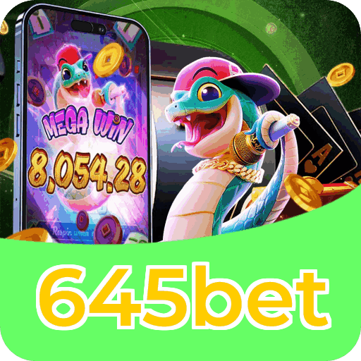 Segurança 645bet